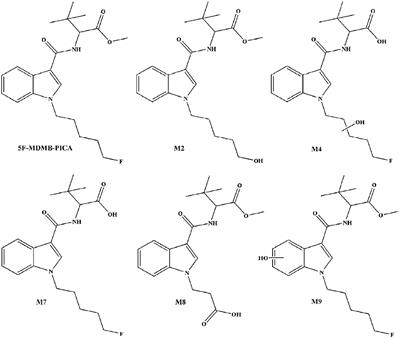 Detection of a New Tert-Leucinate Synthetic Cannabinoid 5F-MDMB-PICA and Its Metabolites in Human Hair: Application to Authentic Cases